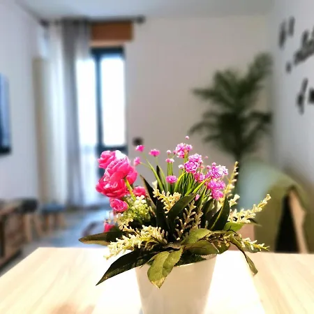 Nel Cuore Di *